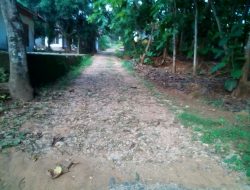 Jalan Rusak Tak Kunjung Diperbaiki, Warga Desa Gunung Kembar Sentil Penggunaan Dana Desa