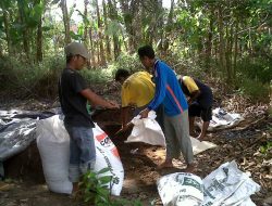 Pupuk Kimia Picu Rusaknya Kesuburan Tanah