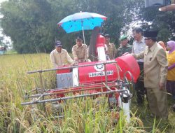 Disperta Panen Raya Demplot Padi