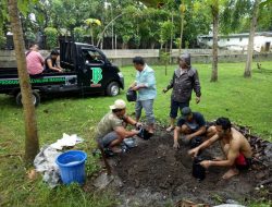 Kodim Sumenep, Budidaya Cabe Sistem Tanam Polybag secara serentak