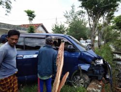 Diduga Sopir Ngantuk, Mobil APV Ringsek Tabrak Pohon