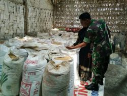Babinsa Koramil 0827/09 Pragaan Cek Bulir Gabah di Gudang Penyimpanan, Dorong Serapan Gabah Petani ke Bulog 