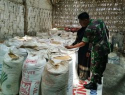 Babinsa Koramil 0827/09 Pragaan Cek Bulir Gabah di Gudang Penyimpanan, Dorong Serapan Gabah Petani ke Bulog‎ ‎