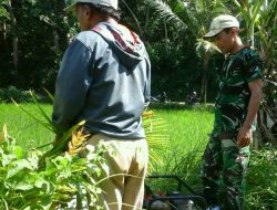 Babinsa Arjasa – Kangean Intens Bantu Petani ke Sawah