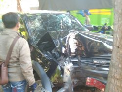 Sopir Mobdin Dispertahortbun Sumenep Berumur 52 Tahun, Tabrak Pohon Kelapa