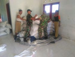 Tim Sergap Koramil 0827/16 Gapura Aktif Lakukan Negosiasi Gabah Petani