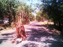 Jalan Utama Menuju Pelabuhan Talango Rusak