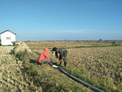 Pendampingan Babinsa Panagan Koramil 0827/16 Gapura Terhadap Petani Kedelai