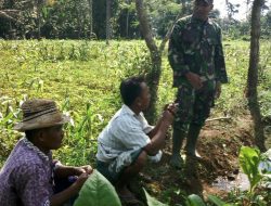 Babinsa Talaga – Ganding Adakan Komsos Kamtibmas dengan Petani Di Dusun Totongan – Talaga