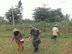Wujudkan Kedekatan dengan Warga, Babinsa Ruabru aktif sambangi Warganya