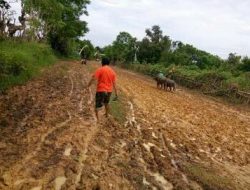 Jalan Kabupaten Rusak Parah, Warga Perbaiki Dengan Gotong Royong