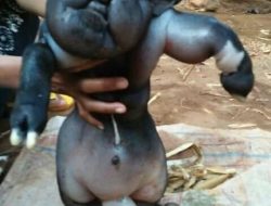 Sumenep Dihebohkan Kambing Lahir Jum’at Legi Menyerupai Manusia