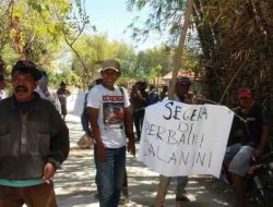 Jalan Rusak, Warga Tanami Pohon Pisang