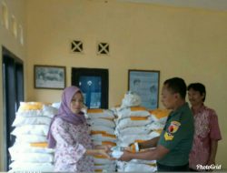 Babinsa 0827/10 Ambunten, Kawal Pendistribusian Pupuk