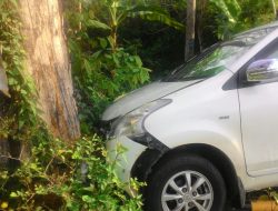 Lagi – Lagi Kecelakaan Tunggal Avanza Tabrak Pohon Asam Di Rubaru