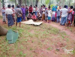 Temuan Mayat Hebohkan Warga Kecamatan Batang – Batang