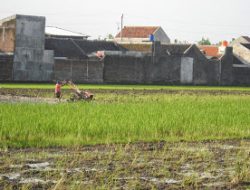 DPRD Sumenep Baru Gagas PLP2B, Setelah Banyak Lahan Pertanian Alih Fungsi Perumahan
