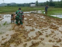 Wujud Pendampingan Babinsa Kangean Kepada Petani di Wilayah Binaan