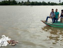 Warga Sapeken Digegerkan Temuan Mayat Tanpa Kepala Mengapung Di Pantai