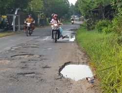 Jalan Raya Manding Rusak Parah Dikeluhkan Banyak Kalangan