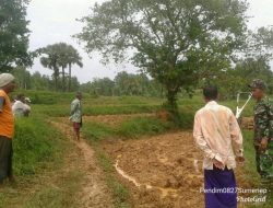 Tak Terlambat Tanam, Babinsa Aengmerah Cek Lahan Sawah Milik Warga