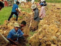 Minim Perhatian, Masyarakat Blu’uran Patungan Perbaiki Jalan