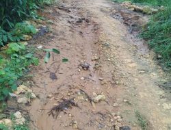 Akses Jalan Masyarakat Desa Potoan Daya Rusak Parah