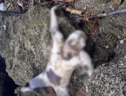 Waga Pulau Giligenteng Digegerkan Dengan Penemuan Mayat