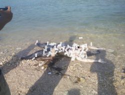 Mayat Ditemukan Membengkak di Perairan Pantai Giligenting