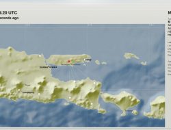 Gempa Bumi Tektonik Berkekuatan M=3.5 Mengguncang Pamekasan
