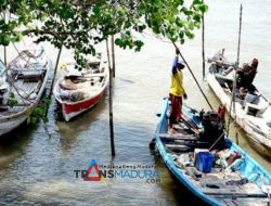 Dinas Perikanan Pamekasan targetkan 2.000 Ton Produksi ikan budi Daya