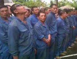 Tenaga Kerja Asing Bekerja di Perusahaan Pamekasan