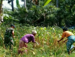 Ciptakan Swapang, Koptu Imam Memotivasi Poktan “Kurnia”