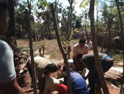 Misnabi Pelaku Pembunuhan Tewas Ditangan Polisi