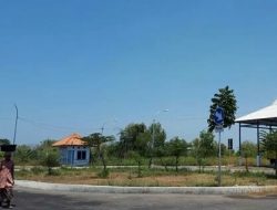 Terminal Kargo Sampai Saat Ini Belum Dioperasionalkan.