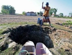 Hampir Merata, 11 dari 13 Kecamatan Terdampak Kekeringan