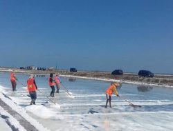 Walau Cuaca Bagus, Harga Garam Mulai Berangsur Turun