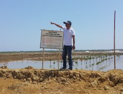 Perhutani KPH Madura Diminta Melaporkan Pemilik Sertifikat Yang Menyerobot Tahah Kawasan