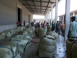 Baru 3 Gudang Tembakau Sudah Dibuka