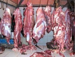 Jelang Idul Adha, Harga Daging Masih 90  sampai 120 Perkilo