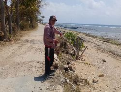 Kondisi Tangkis Laut Pulau Sapudi Menperihatinkan