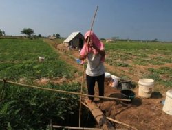 Petani Kesulitan Air, Pemerintah  Terkesan Tidak Ada Keberpihakan ?