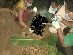 Warga Arjasa Dikejutkan Penemuan Mayat Dengan Usus Perut Keluar