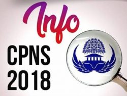 Kuota dan Waktu Pelaksanaan CPNS Masih Belum Jelas