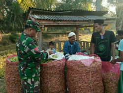 Babinsa Berikan Pemahaman Terkait Harga Cabai di Tingkat Petani Menurun