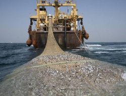 Pelarangan Cantrang Masih Dilanggar Para Nelayan