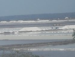 Produksi Garam Melebihi Target, Harga Tidak Didukung