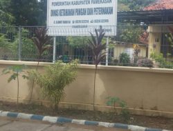 DKPP Belum Maksimalkan Pembinaan Pemeliharaan Sapi di Pamekasan