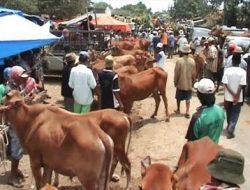 Investor Ogah Mengelola Pasar Hewan di Pamekasan