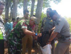 Aliran Hasil Tambang Ilegal Batu Fosfat Desa Cabbiye Mulai Terkuak